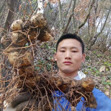 中药材