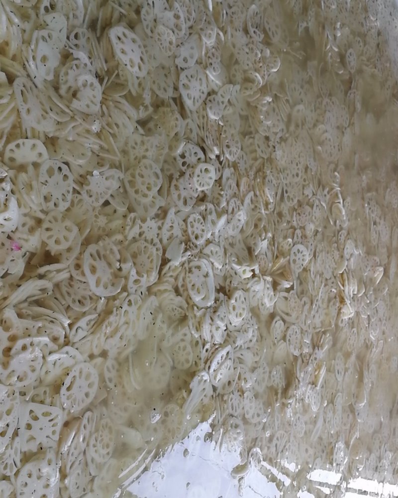 长期供应优质盐渍藕片