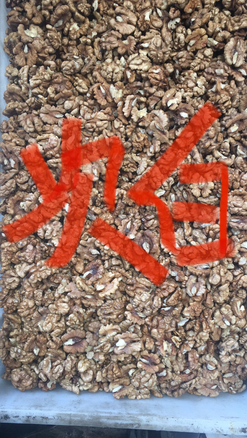 大量供应各种规格核桃仁，核桃果，可以视频看货。