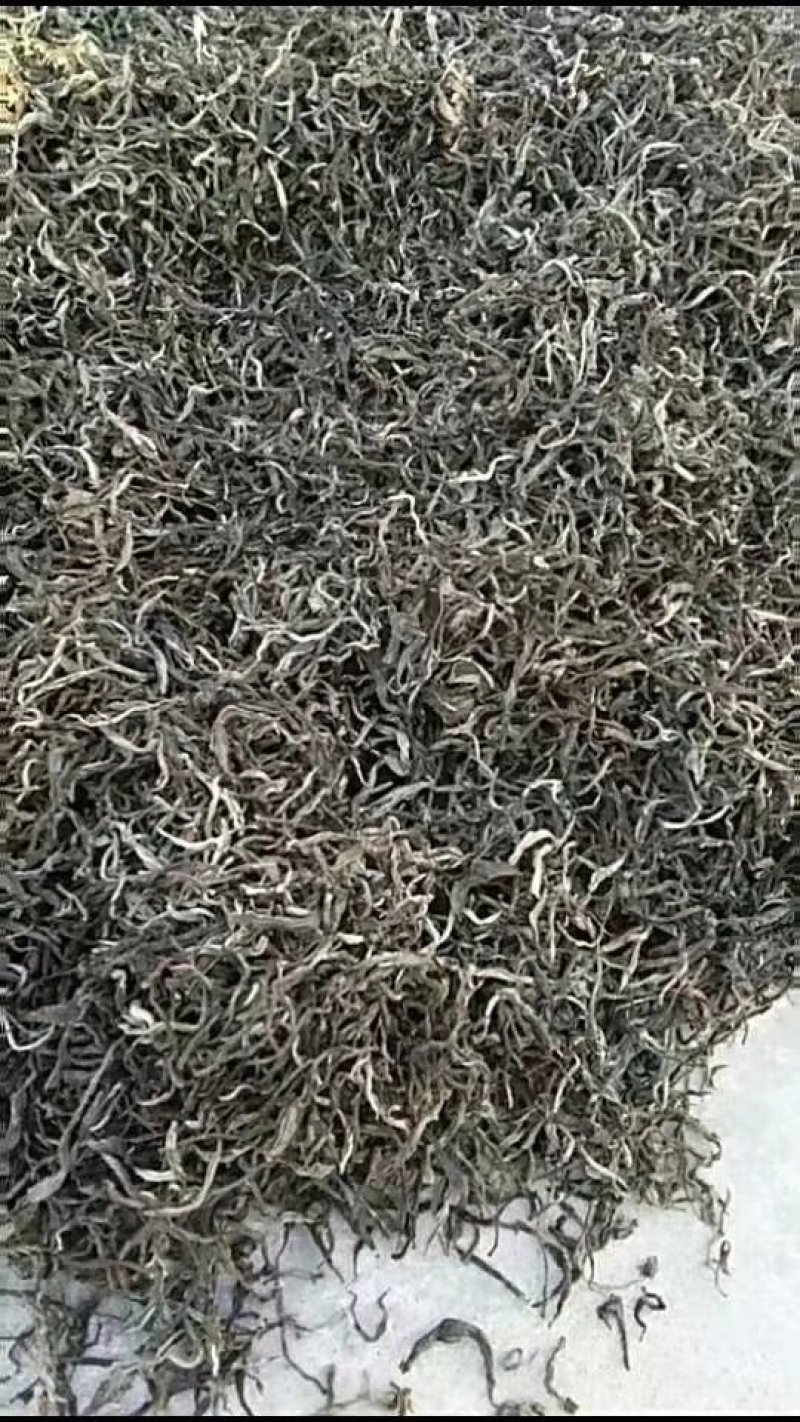 竹叶青茶