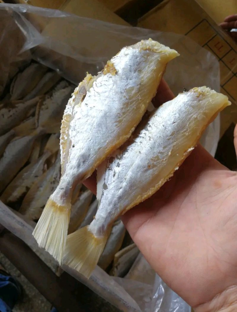 剥皮鱼咸鱼干大眼鸡海鱼干小鱼干