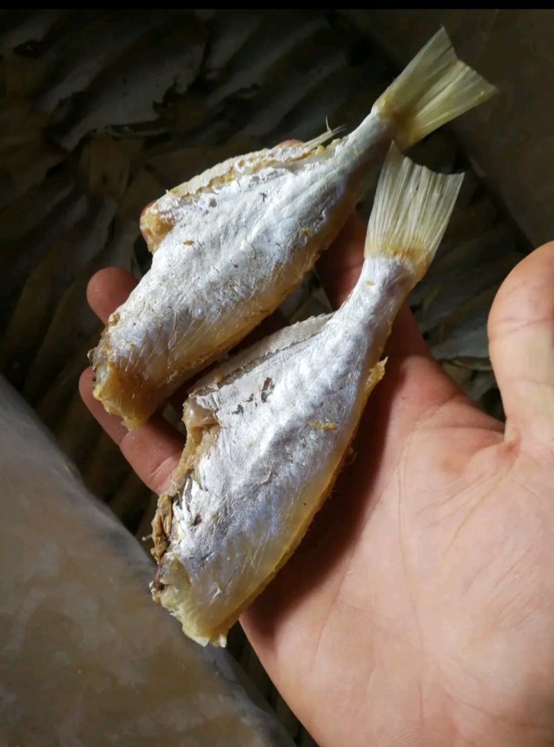 剥皮鱼咸鱼干大眼鸡海鱼干小鱼干
