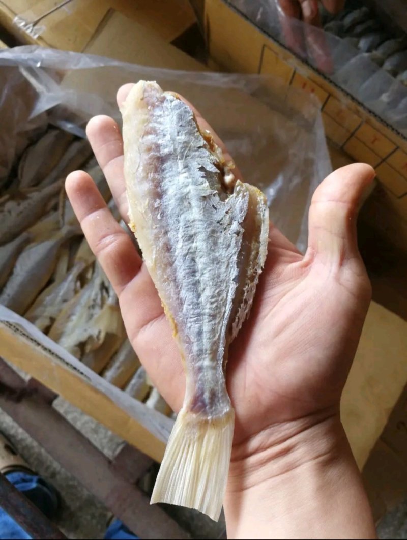 剥皮鱼咸鱼干大眼鸡海鱼干小鱼干