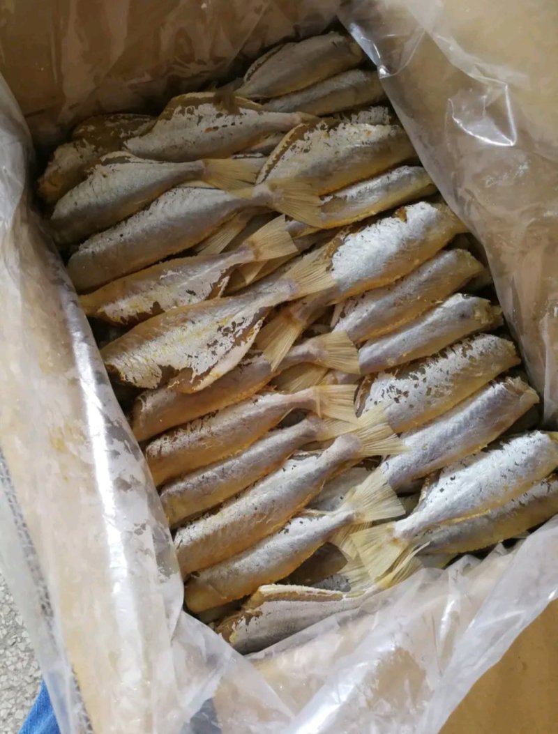 剥皮鱼咸鱼干大眼鸡海鱼干小鱼干