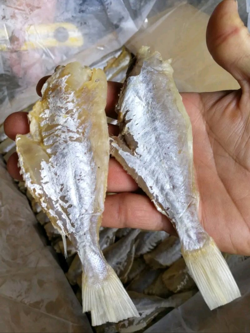剥皮鱼咸鱼干大眼鸡海鱼干小鱼干
