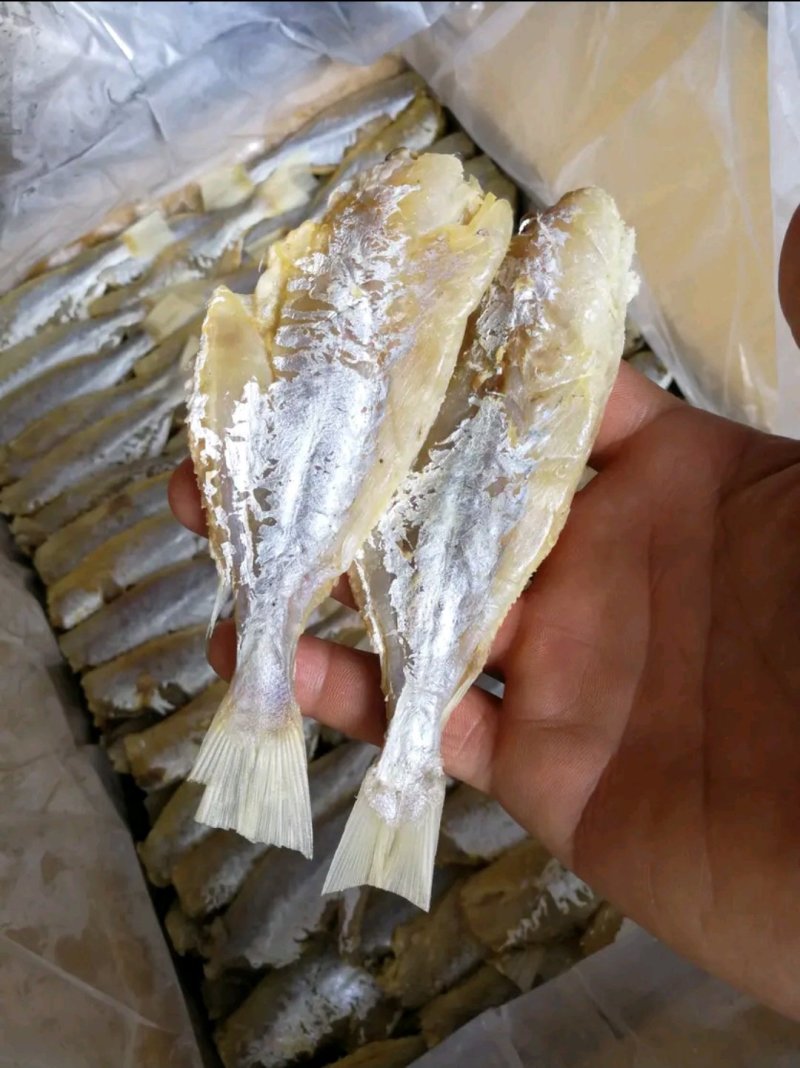 剥皮鱼咸鱼干大眼鸡海鱼干小鱼干