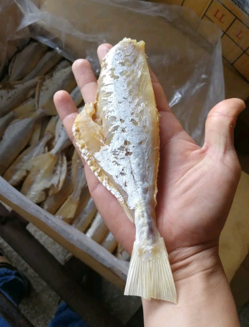 剥皮鱼咸鱼干大眼鸡海鱼干小鱼干