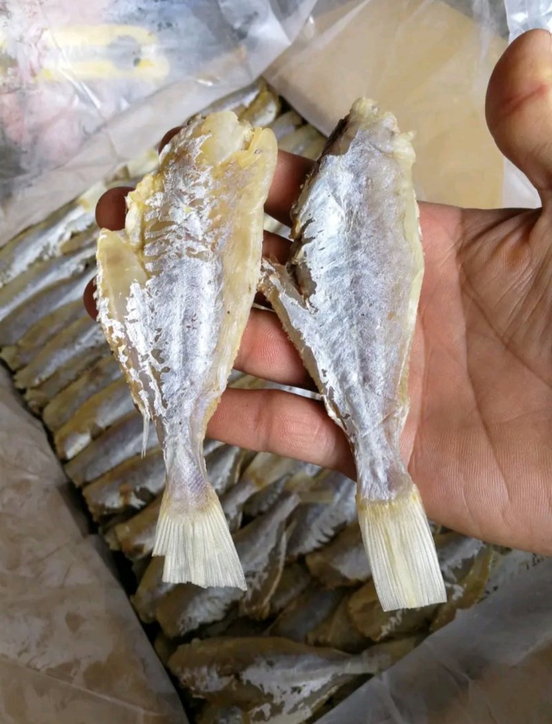 剥皮鱼咸鱼干大眼鸡海鱼干小鱼干