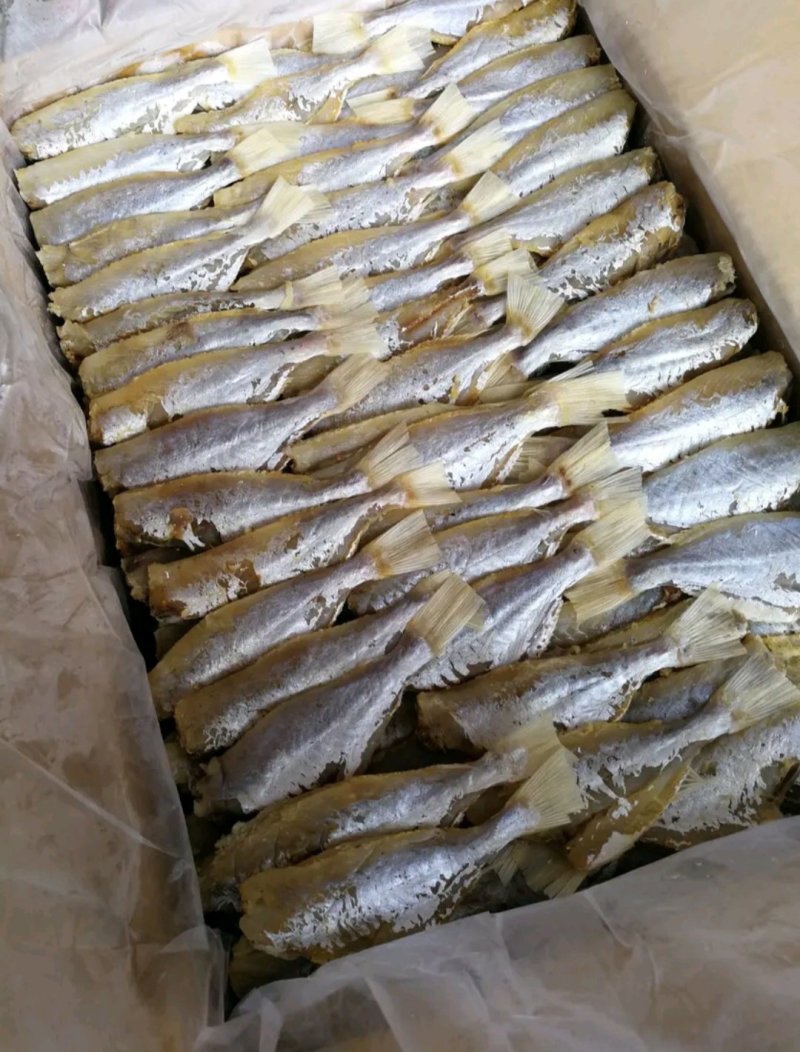 剥皮鱼咸鱼干大眼鸡海鱼干小鱼干