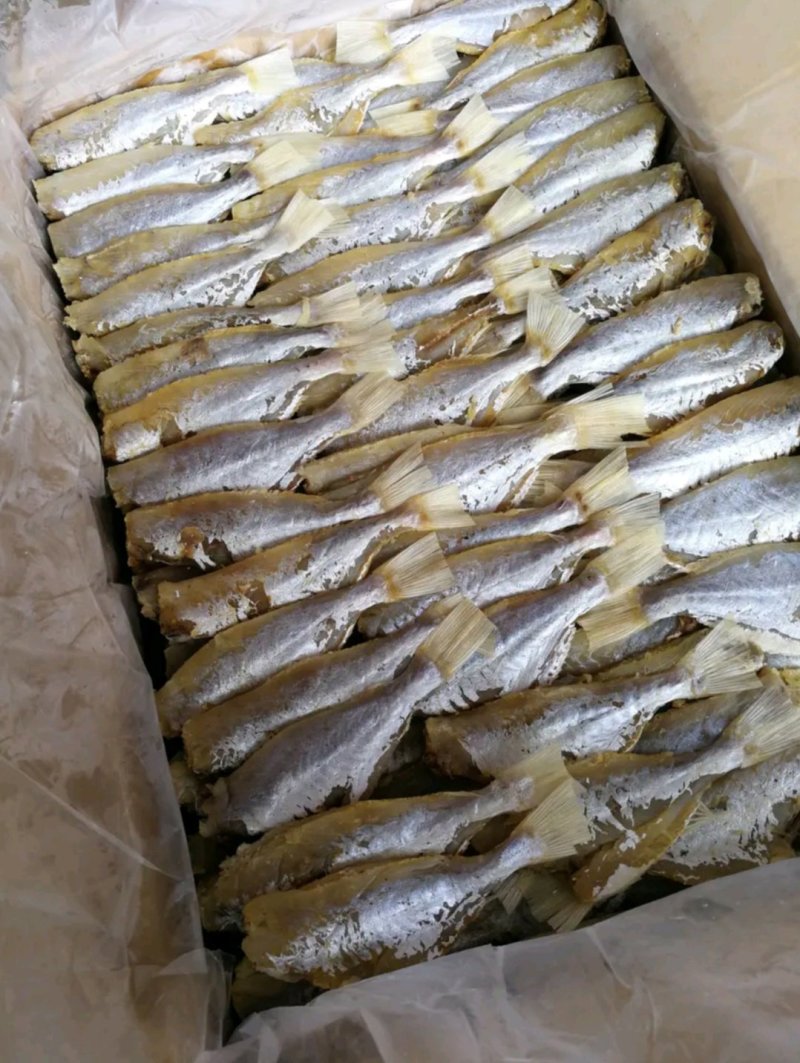 剥皮鱼咸鱼干大眼鸡海鱼干小鱼干