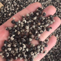 蔓荆子万京子【包邮】三斤起发货可批量可零售量大从优