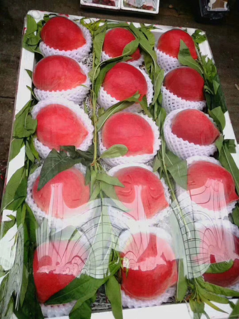 水蜜桃