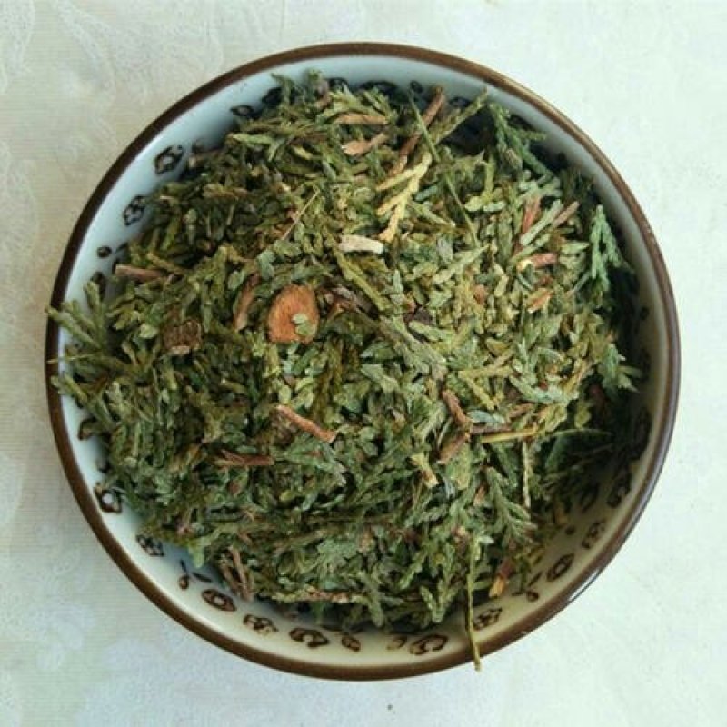侧柏叶常年批发供应，侧柏叶量大从优