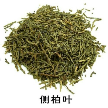 侧柏叶常年批发供应，侧柏叶量大从优