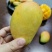 台农芒，小台芒，核薄少渣