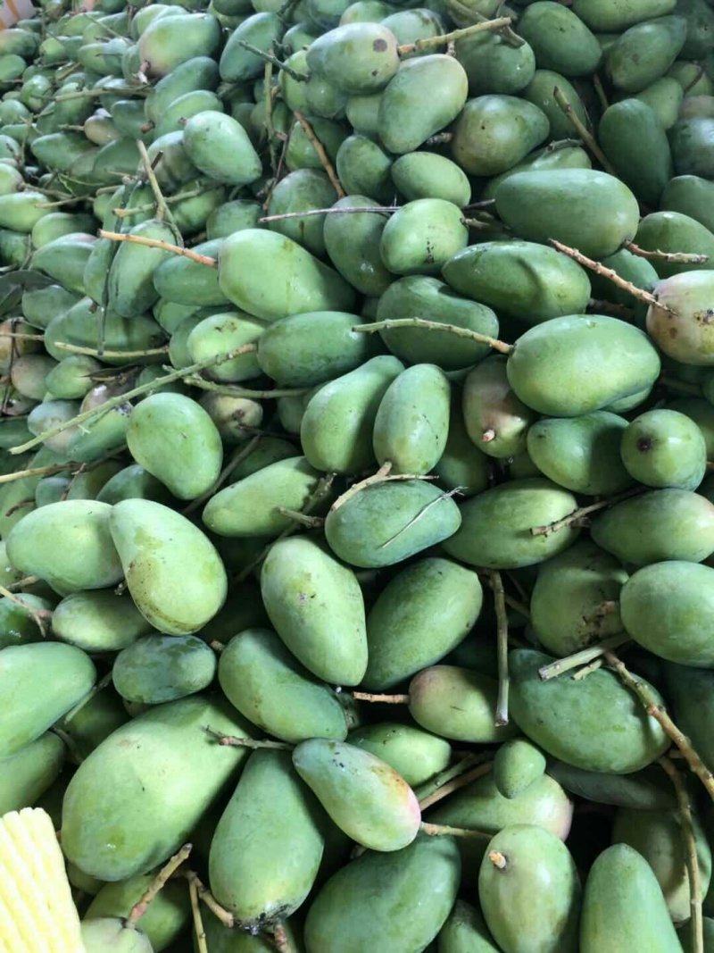 台农芒，小台芒，核薄少渣
