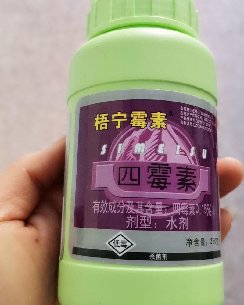 四霉素猕猴桃溃疡芒果角斑番茄溃疡真细菌病害防治