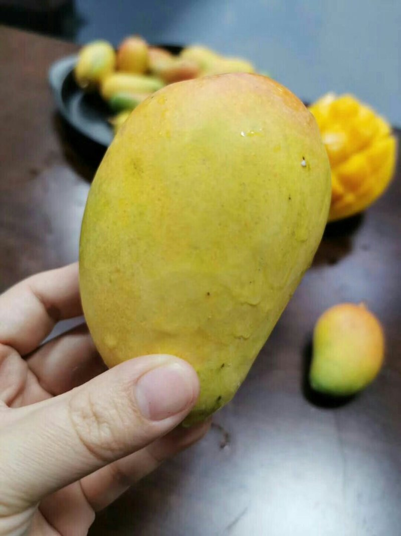 海南小台芒，台农芒果，一件代发，诚征代理