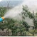 全新电动喷雾器送风筒12v锂电池打药风机养殖消毒弥雾