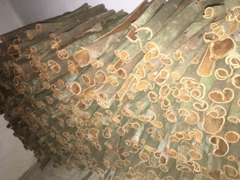 广西岑溪桂皮农民自家产品