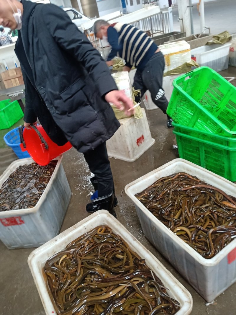 小龙虾