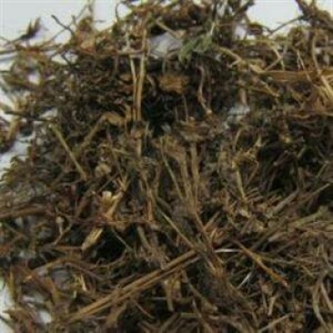 仙桃草，常年批发供应冷背中草药，仙桃草