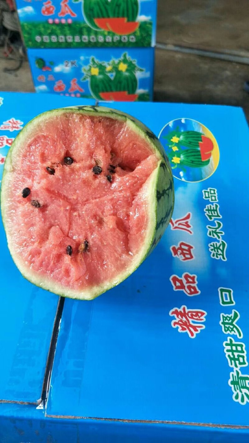 精品2K西瓜，包装小工齐全，产地直发，保熟保甜
