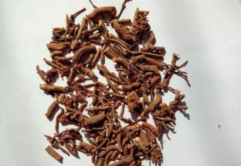 茜草，常年批发供应，茜草中药材