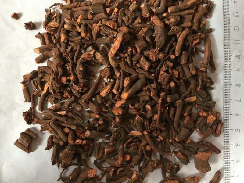 茜草，常年批发供应，茜草中药材