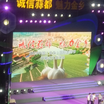 大蒜，红皮大蒜种子批发
