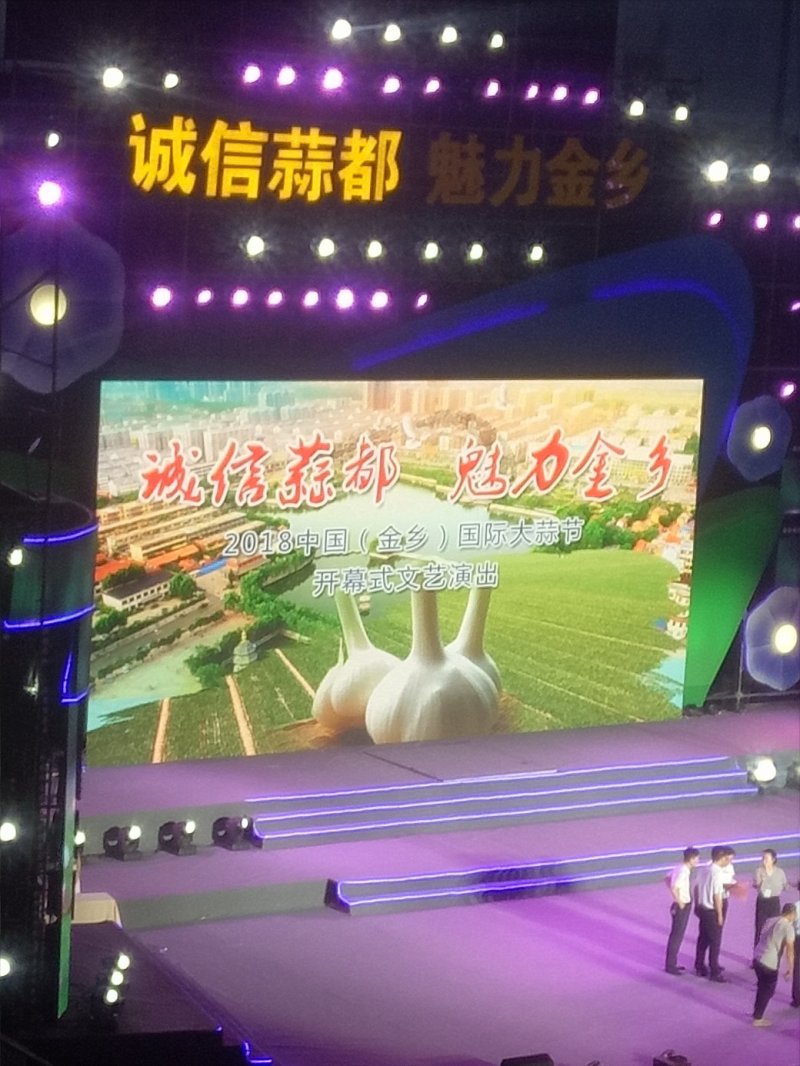 大蒜，红皮大蒜种子批发