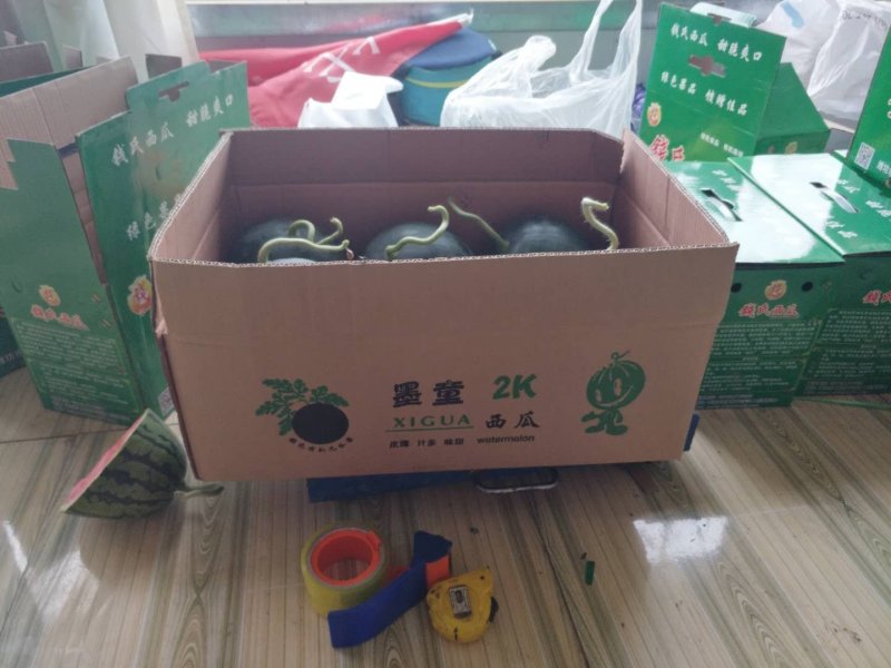 山东优质早春红玉西瓜3一6斤产地直发货源充足价格便宜