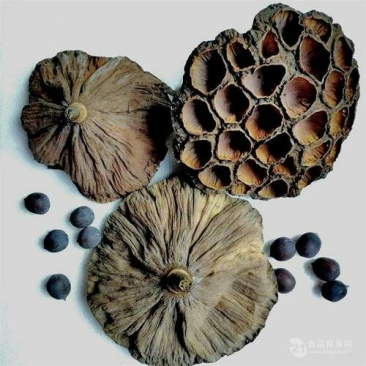莲房，常年批发供应莲房中药材