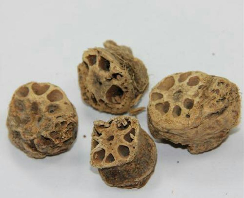 藕节，常年批发供应，藕节