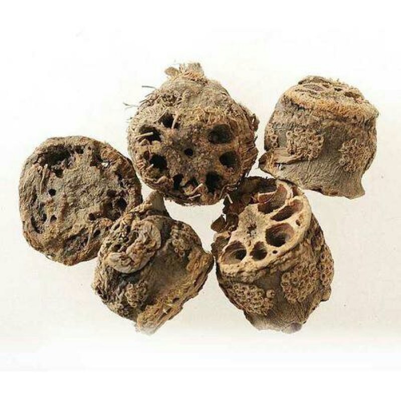 藕节，常年批发供应，藕节