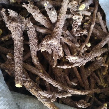 高含量黄芩，干黄芩，黄芩片，野生黄芩，老黄芩，枯芩