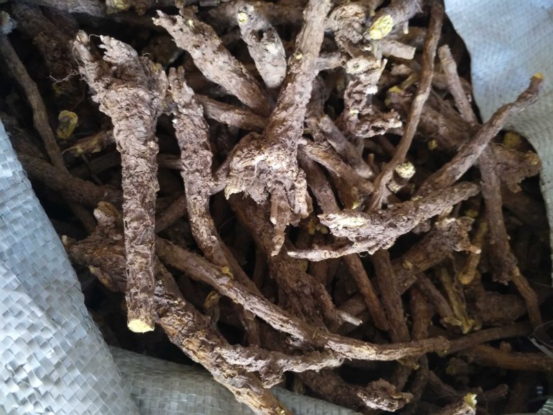 高含量黄芩，干黄芩，黄芩片，野生黄芩，老黄芩，枯芩