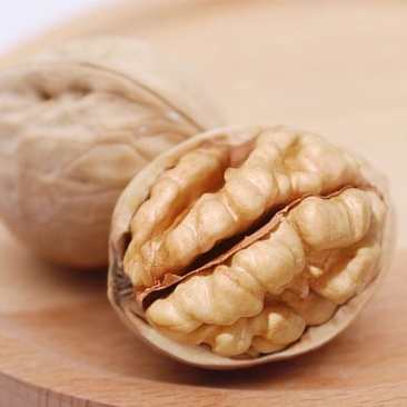 20年新货新疆特产薄皮核桃瓤子白无陈货量大从优