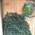 富硒有机茶