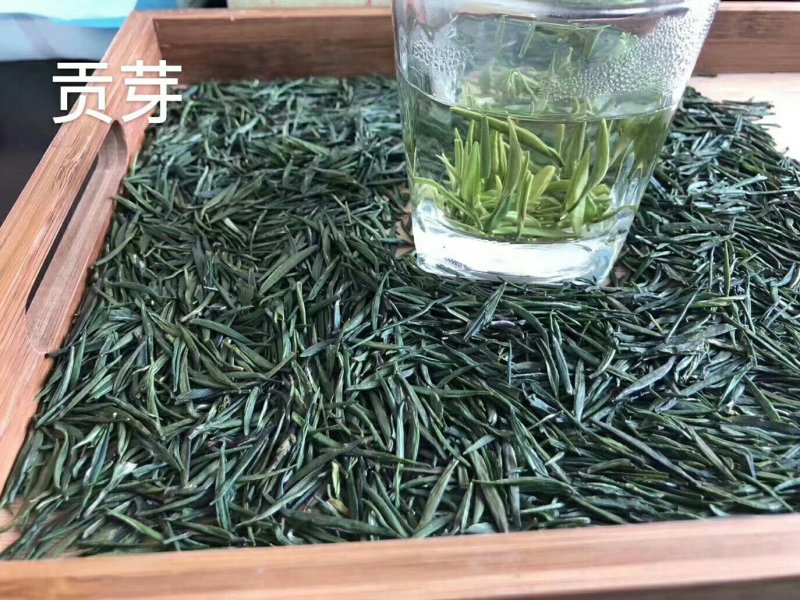 富硒有机茶