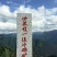 富硒有机茶
