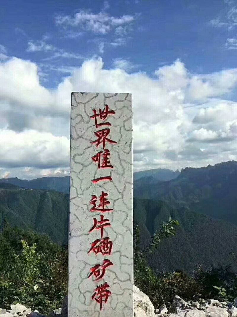 富硒有机茶