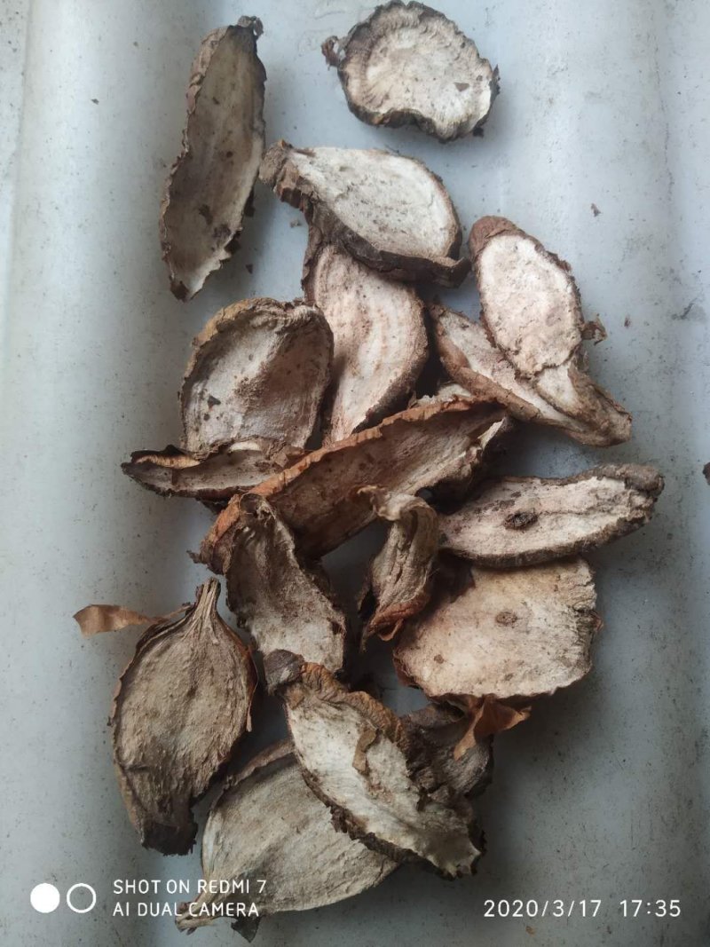 白蔹干货供应中量大从优