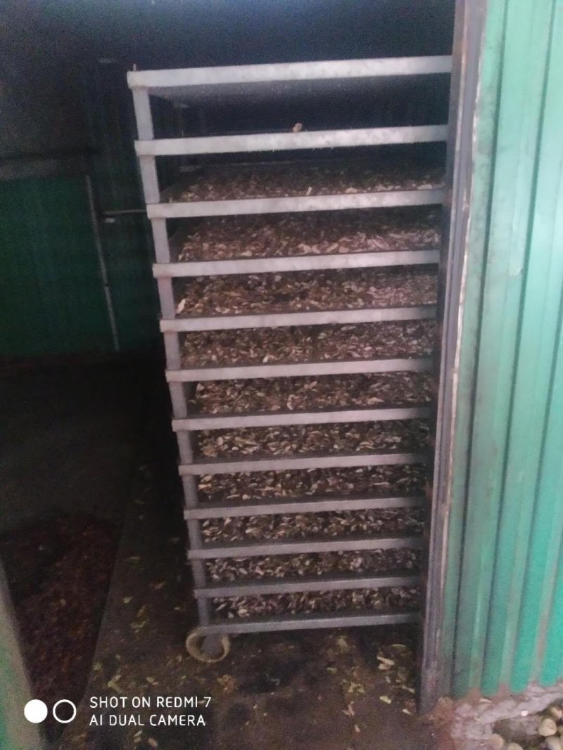 白蔹干货供应中量大从优