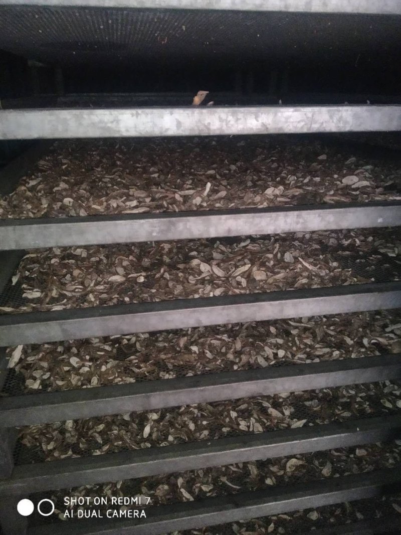 白蔹干货供应中量大从优