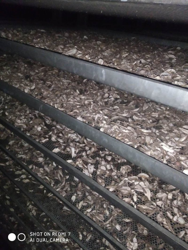 白蔹干货供应中量大从优