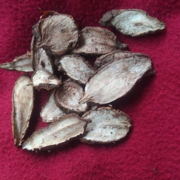 白蔹干货供应中量大从优