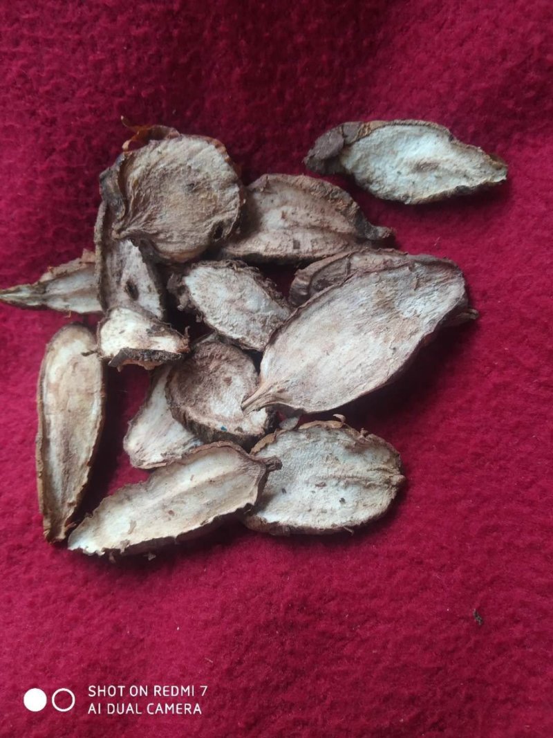 白蔹干货供应中量大从优