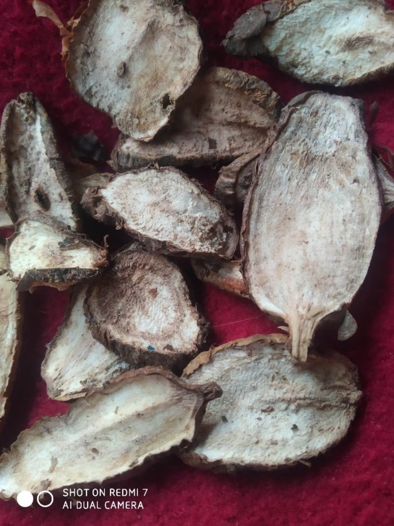 白蔹干货供应中量大从优