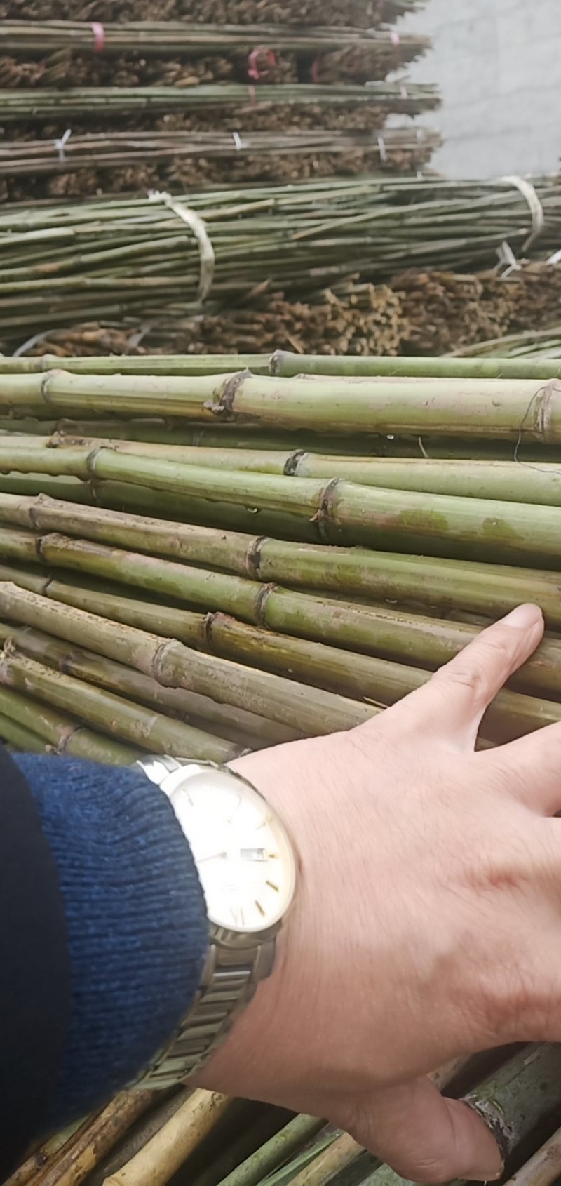 各种农户自已山上砍的各种规格菜架竹，质优价廉
